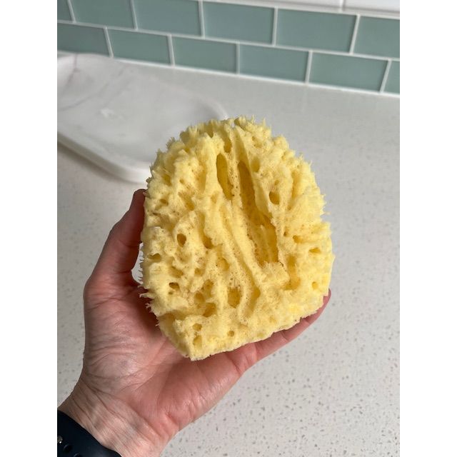 Natural Sea Sponge