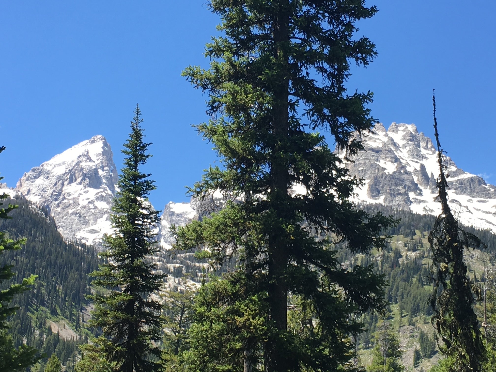 Winter Skincare Science Overview: Supporting the Skin Barrier