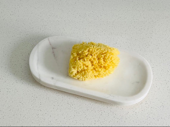 Natural Sea Sponge