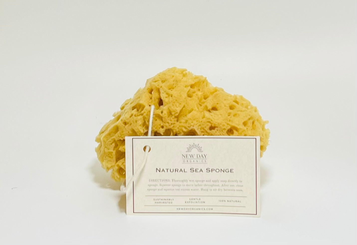 Natural Sea Sponge