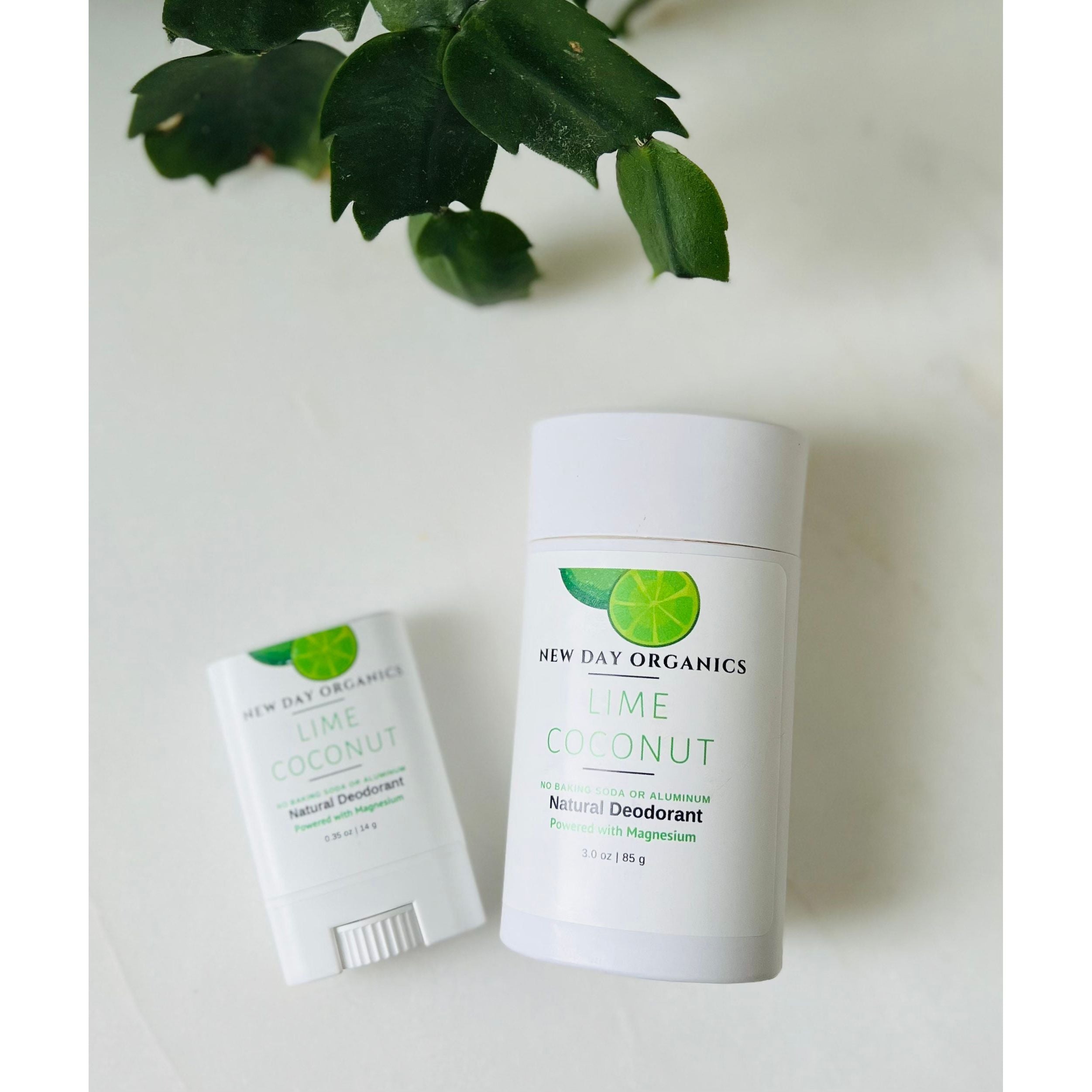 Two New Day Organics deodorant products on a light background with green leaves.