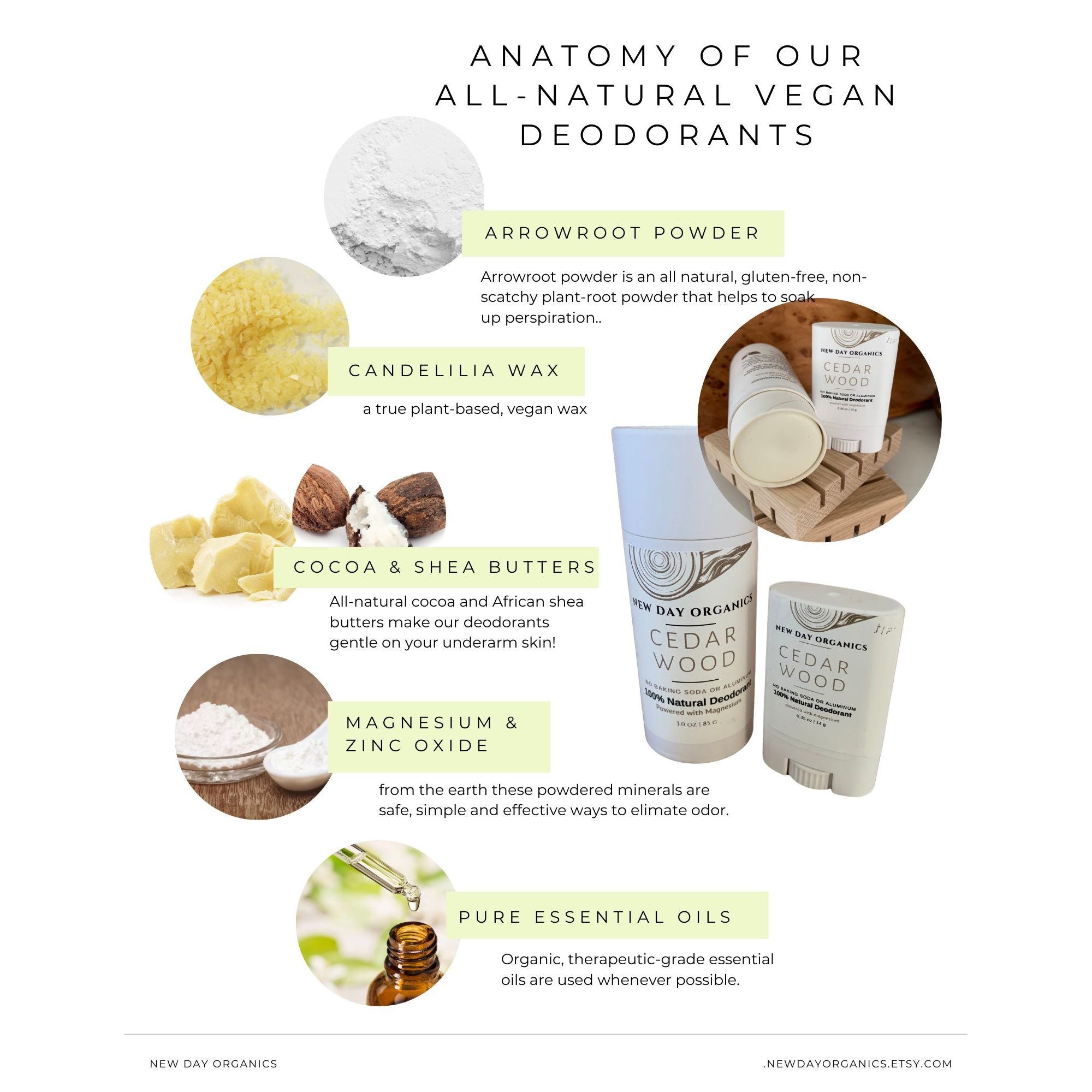 Anatomy of all-natural vegan deodorants with ingredients and products displayed.